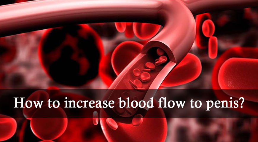 increase blood flow to the penis