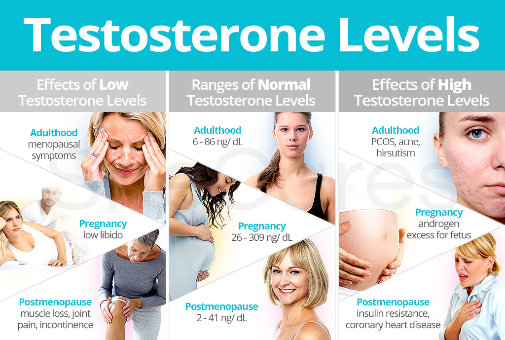 low-and-high-testosterone-in-women