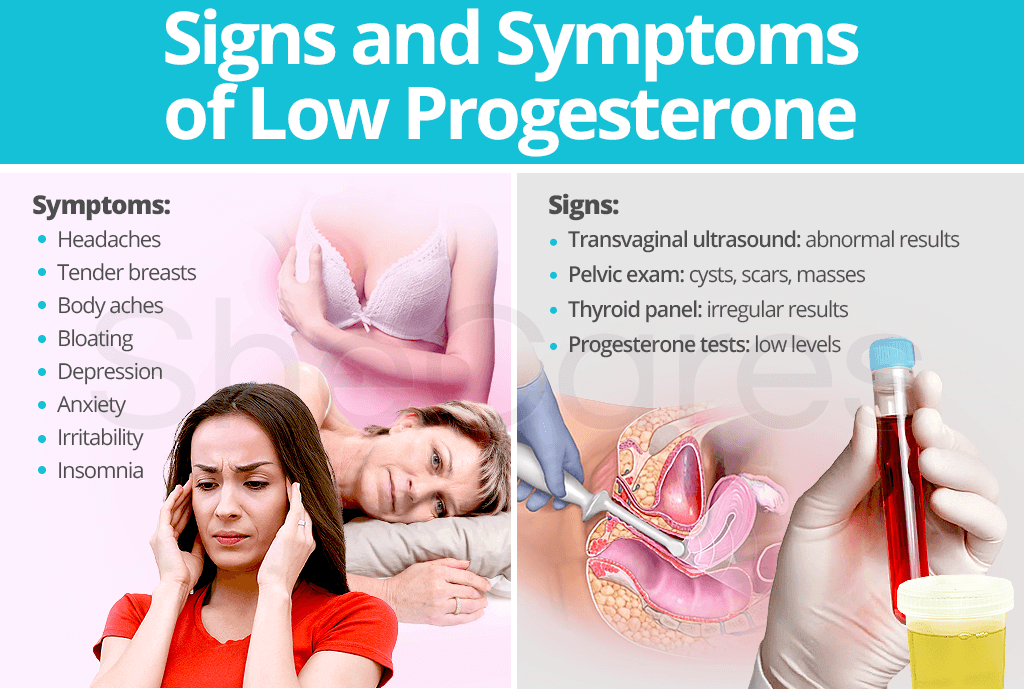 low levels of progesterone