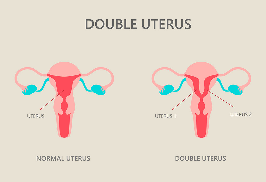 how-does-a-uterus-transplant-work-exactly-self