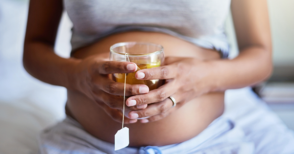 Chamomile Tea During Pregnancy